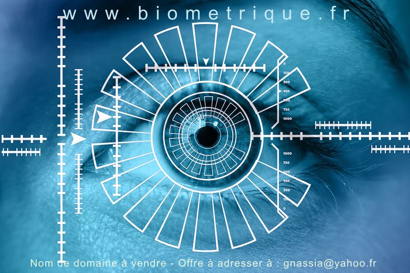 biometriquefr.fr