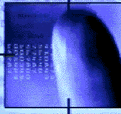 analyse empreinte